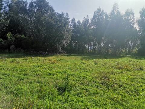 TERRENO - LANDIM