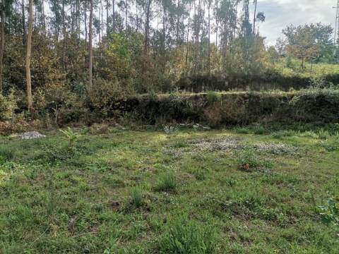 Terreno - Castelões