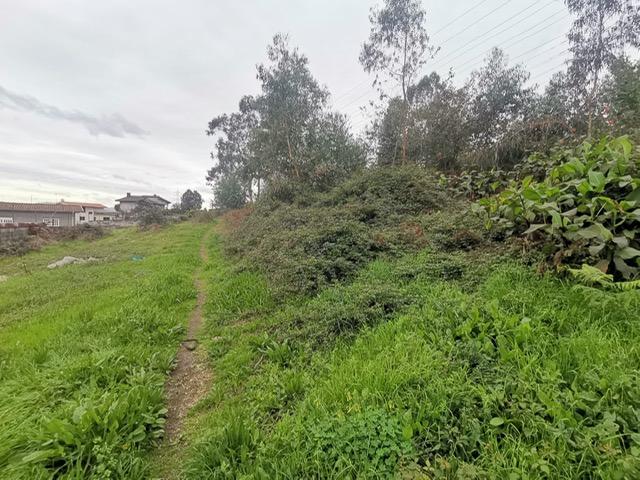 Terreno c/ 5.000 m2 - Pedome