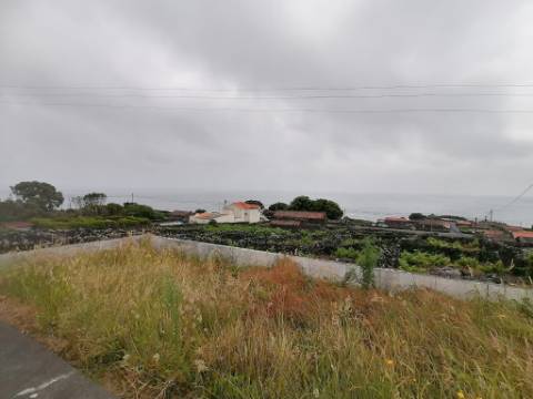 VENDE-SE MORADIA COM ADEGA DE PEDRA NA GINGEIRA EM SÃO MATEUS, MADALENA DO PICO!