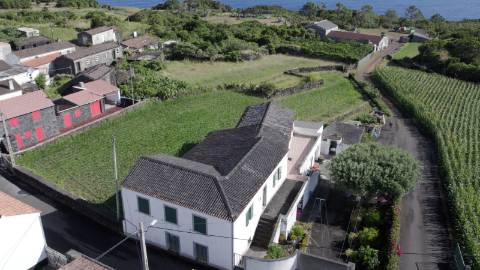VENDE-SE QUINTA EM SÃO ROQUE DO PICO