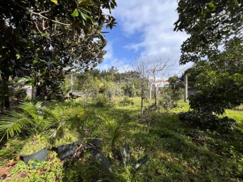 VENDE-SE MORADIA T1+T1 LOCALIZADA NA MADALENA