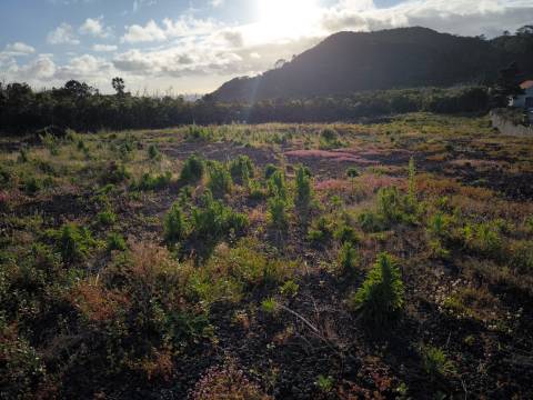 VENDE-SE TERRENO RÚSTICO COM PROJETO DE CONSTRUÇÃO NA CRIAÇÃO VELHA, MADALENA DO PICO
