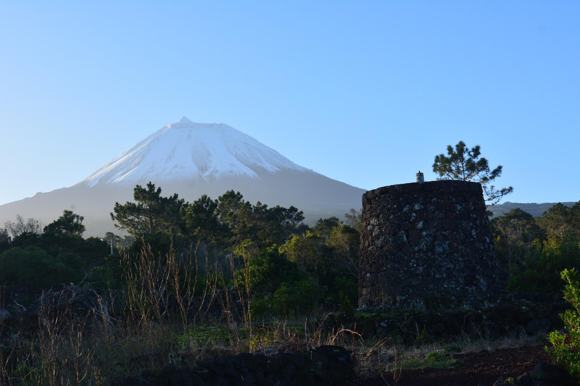 VENDE-SE TERRENO COM MOINHO, EM SANTA LUZIA - SÃO ROQUE DO PICO