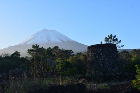 VENDE-SE TERRENO COM MOINHO, EM SANTA LUZIA - SÃO ROQUE DO PICO
