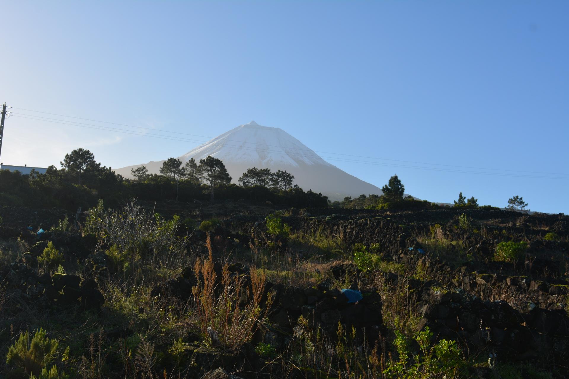 VENDE-SE TERRENO COM MOINHO, EM SANTA LUZIA - SÃO ROQUE DO PICO