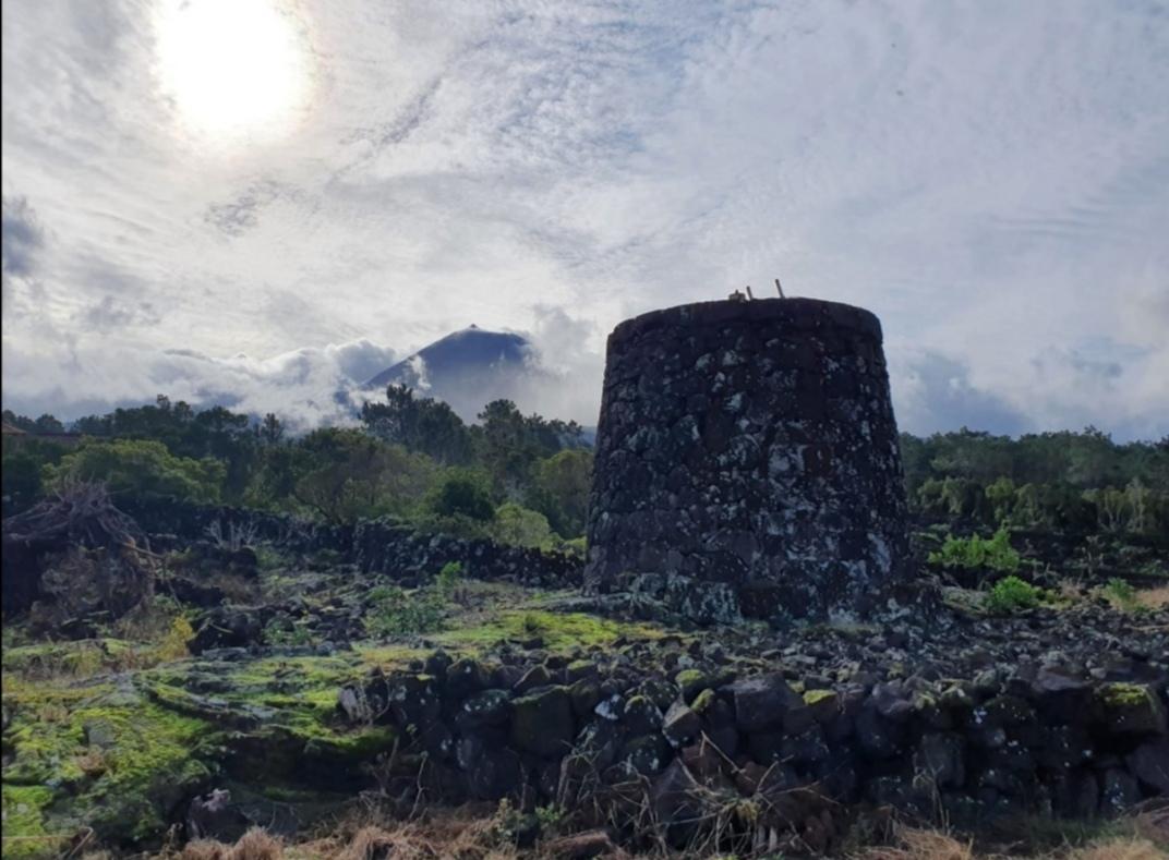 VENDE-SE TERRENO COM MOINHO, EM SANTA LUZIA - SÃO ROQUE DO PICO