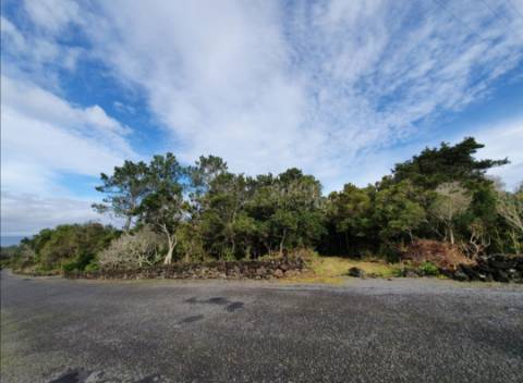VENDE-SE TERRENO COM MOINHO, EM SANTA LUZIA - SÃO ROQUE DO PICO