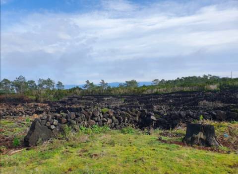 VENDE-SE TERRENO COM MOINHO, EM SANTA LUZIA - SÃO ROQUE DO PICO