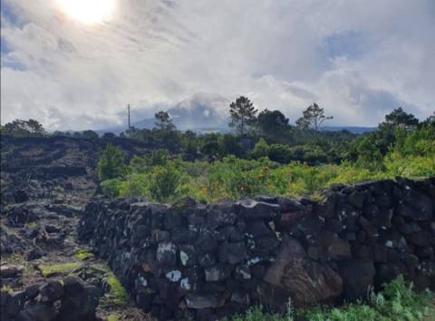 VENDE-SE TERRENO COM MOINHO, EM SANTA LUZIA - SÃO ROQUE DO PICO