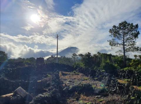VENDE-SE TERRENO COM MOINHO, EM SANTA LUZIA - SÃO ROQUE DO PICO