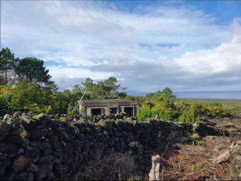 VENDE-SE TERRENO COM MOINHO, EM SANTA LUZIA - SÃO ROQUE DO PICO