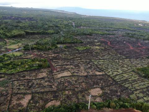 VENDE-SE TERRENO COM MOINHO, EM SANTA LUZIA - SÃO ROQUE DO PICO