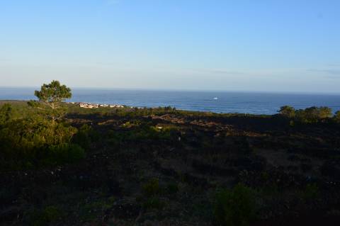 VENDE-SE TERRENO COM MOINHO, EM SANTA LUZIA - SÃO ROQUE DO PICO