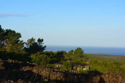 VENDE-SE TERRENO COM MOINHO, EM SANTA LUZIA - SÃO ROQUE DO PICO
