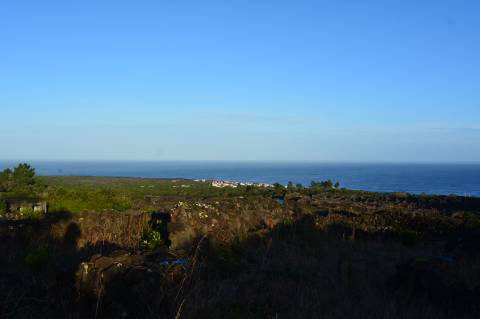 VENDE-SE TERRENO COM MOINHO, EM SANTA LUZIA - SÃO ROQUE DO PICO