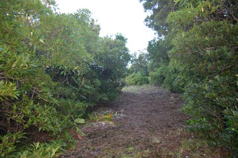 VENDE-SE TERRENO COM MOINHO, EM SANTA LUZIA - SÃO ROQUE DO PICO