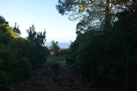 VENDE-SE TERRENO COM MOINHO, EM SANTA LUZIA - SÃO ROQUE DO PICO
