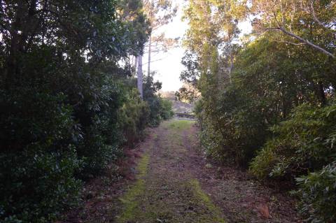 VENDE-SE TERRENO COM MOINHO, EM SANTA LUZIA - SÃO ROQUE DO PICO