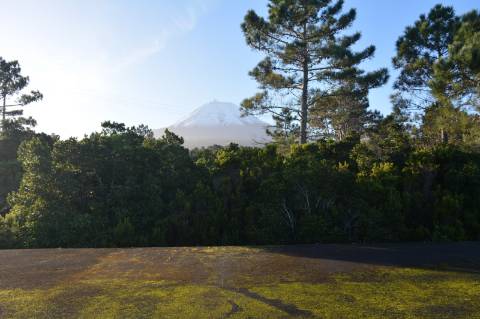 VENDE-SE TERRENO COM MOINHO, EM SANTA LUZIA - SÃO ROQUE DO PICO