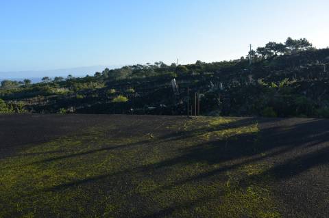 VENDE-SE TERRENO COM MOINHO, EM SANTA LUZIA - SÃO ROQUE DO PICO