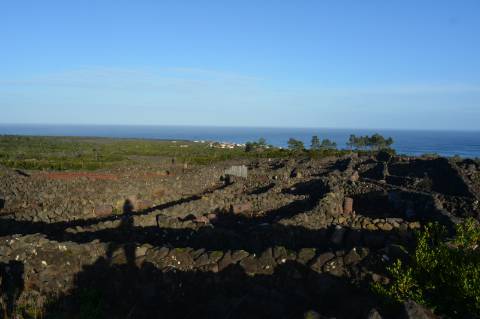 VENDE-SE TERRENO COM MOINHO, EM SANTA LUZIA - SÃO ROQUE DO PICO