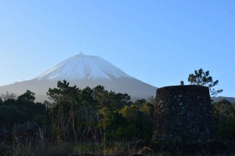 VENDE-SE TERRENO COM MOINHO, EM SANTA LUZIA - SÃO ROQUE DO PICO