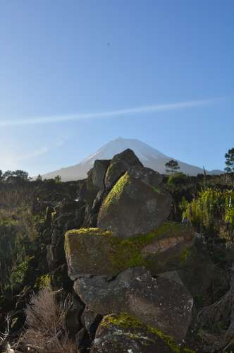 VENDE-SE TERRENO COM MOINHO, EM SANTA LUZIA - SÃO ROQUE DO PICO