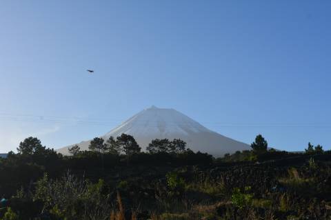 VENDE-SE TERRENO COM MOINHO, EM SANTA LUZIA - SÃO ROQUE DO PICO