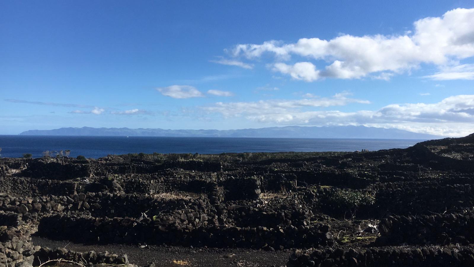 VENDE-SE TERRENO DE VINHAS COM VISTAS PANORÂMICAS NAS BANDEIRAS, MADALENA DO PICO