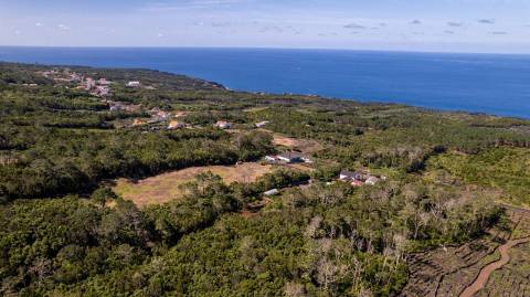 VENDE-SE TERRENO NA CANDELÁRIA, MADALENA DO PICO