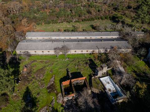 Quintinha de 12.491m2 com Moradia T3 e Outras Edificações