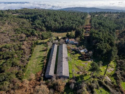 Moradia T3 e Outras Edificações em Terreno de 12.491m2