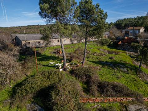 Moradia T3 e Outras Edificações em Terreno de 12.491m2