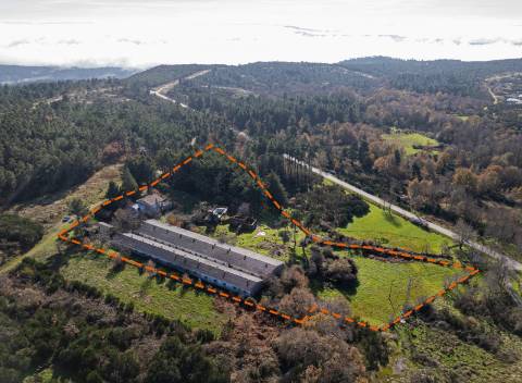 Terreno de 12.491m2 com Moradia T3 e Outras Edificações