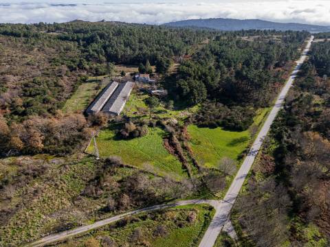 Terreno de 12.491m2 com Moradia T3 e Outras Edificações