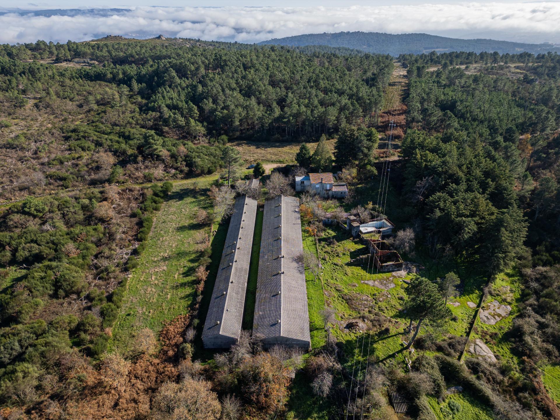 Terreno de 12.491m2 com Moradia T3 e Outras Edificações
