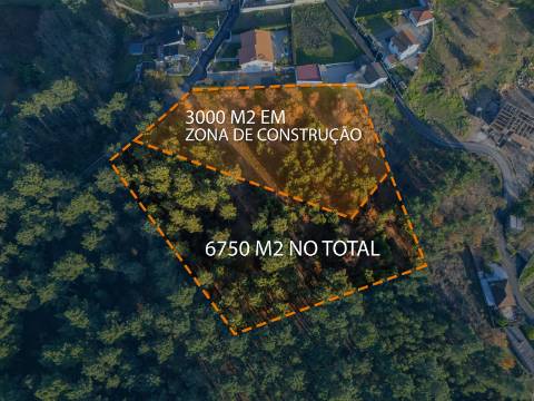 Terreno de 6.750 m2 em Adoufe, Vila Real