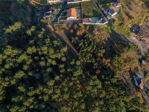 Terreno de 6.750 m2 em Adoufe, Vila Real