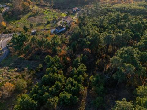 Terreno de 6.750 m2 em Adoufe, Vila Real