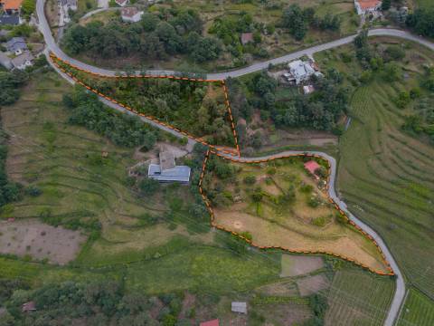 Terreno de 10.000 m2 em Parada de Cunhos, Vila Real