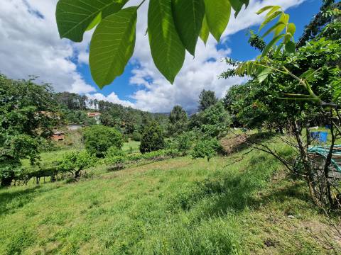 Terreno de 10.000 m2 em Parada de Cunhos, Vila Real
