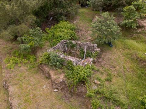 Terreno de 10.000 m2 em Parada de Cunhos, Vila Real