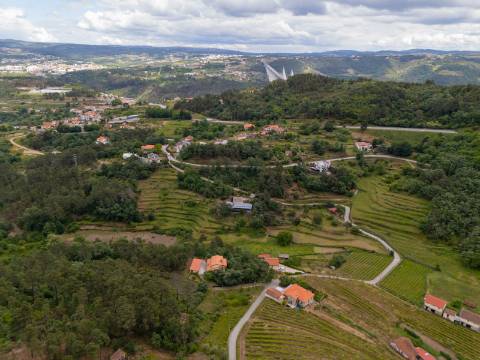 Terreno de 10.000 m2 em Parada de Cunhos, Vila Real