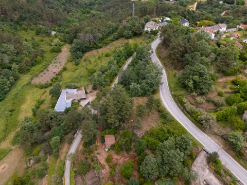 Terreno de 10.000 m2 em Parada de Cunhos, Vila Real