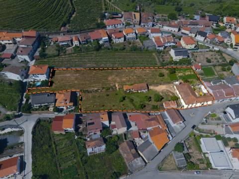 Moradia Brasonada e Terreno no Alto Douro Vinhateiro