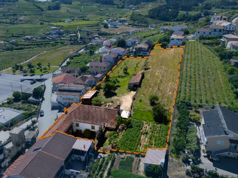 Moradia Brasonada e Terreno no Alto Douro Vinhateiro