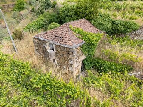 Propriedade com Vinha, Oliveiras, Três Edificações e Água Própria
