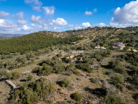 Terreno Misto  Venda em Algoz e Tunes,Silves