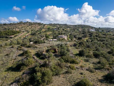 Terreno Misto  Venda em Algoz e Tunes,Silves